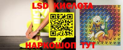герыч Сланцы