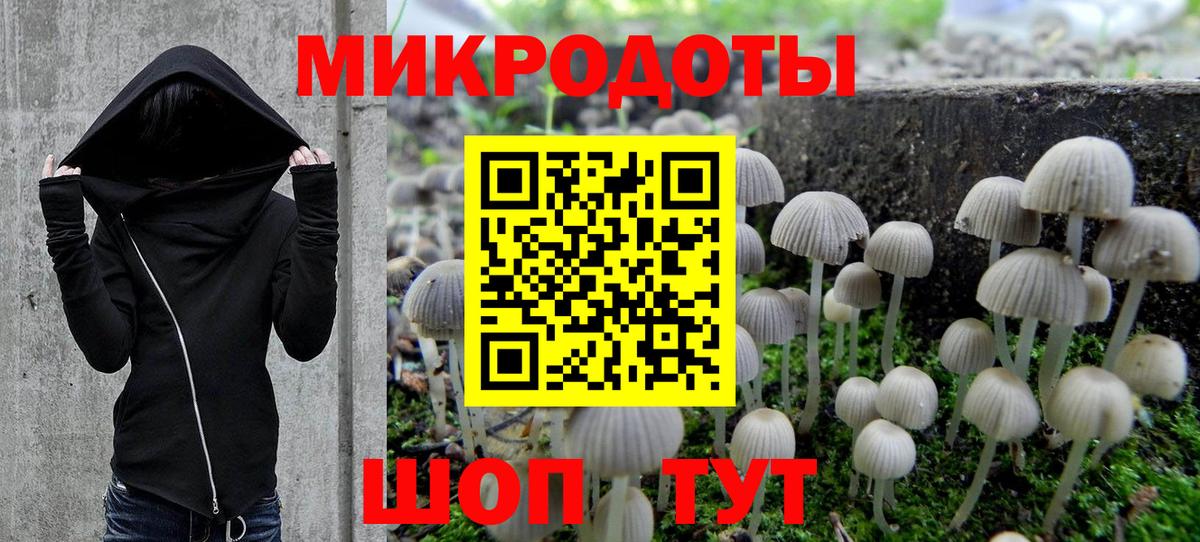 Галлюциногенные грибы прущие грибы  Псилоцибиновые грибы Psilocybine cubensis  Вход с VPN  Петропавловск-Камчатский 
